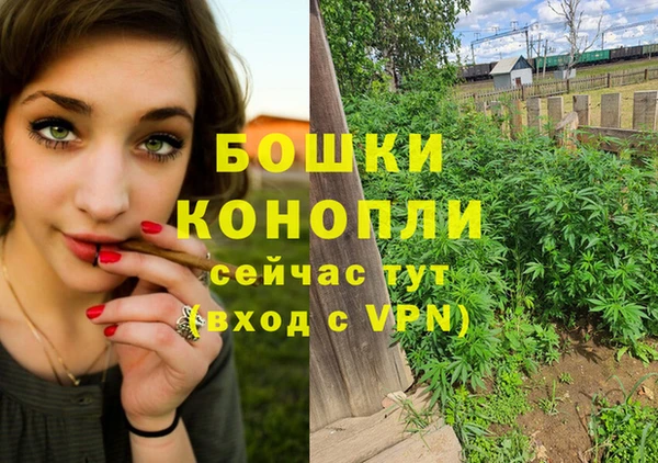 сатива Арсеньев