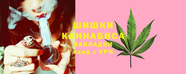сатива Арсеньев