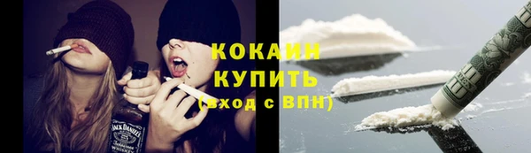 сатива Арсеньев