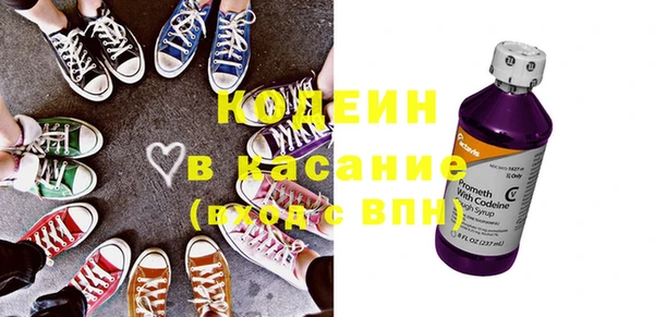 сатива Арсеньев