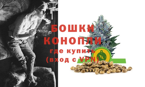 сатива Аркадак