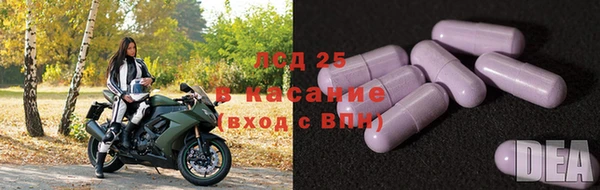 СК Армянск