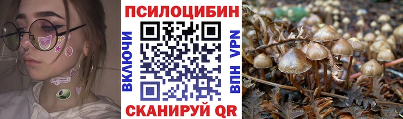 Галлюциногенные грибы GOLDEN TEACHER  Сухиничи 